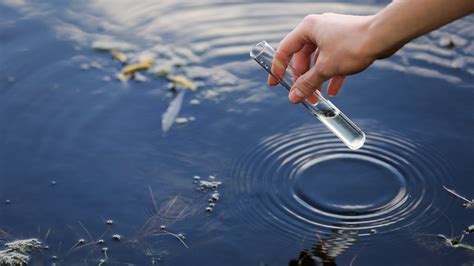 what's the water quality in my area